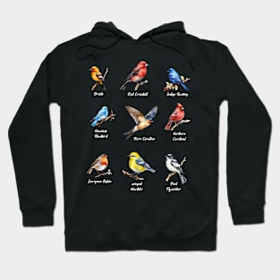 Garden Birds Oriole-Red Crossbill-Indigo Bunting-Mountain BlueBird-Barn Swallow Hoodie